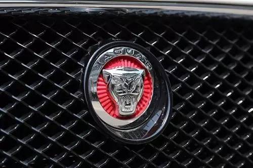 車標(biāo)上的動(dòng)物都是啥來(lái)頭？看完又能出去裝X了